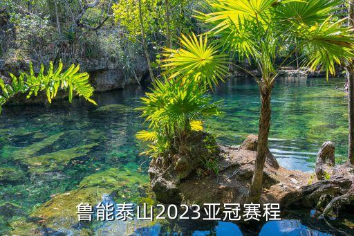  魯能泰山2023亞冠賽程