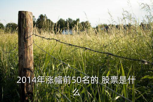 2014年漲幅前50名的 股票是什么