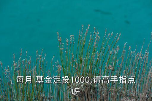 每月 基金定投1000,請高手指點(diǎn)呀