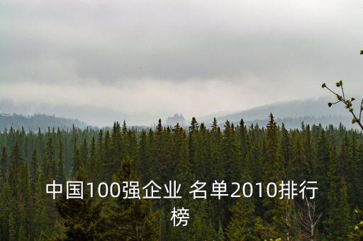 中國(guó)100強(qiáng)企業(yè) 名單2010排行榜