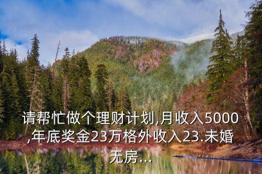 請幫忙做個理財計劃,月收入5000,年底獎金23萬格外收入23.未婚無房...