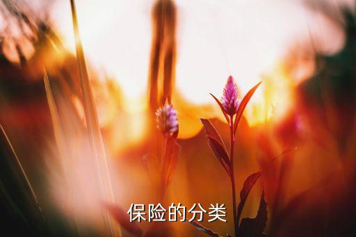 保險(xiǎn)的分類