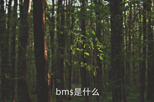 bms電池管理系統(tǒng)上市公司,新能源汽車電池管理系統(tǒng)(BMS)的組成