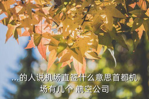 ...的人說機(jī)場(chǎng)直簽什么意思首都機(jī)場(chǎng)有幾個(gè) 航空公司