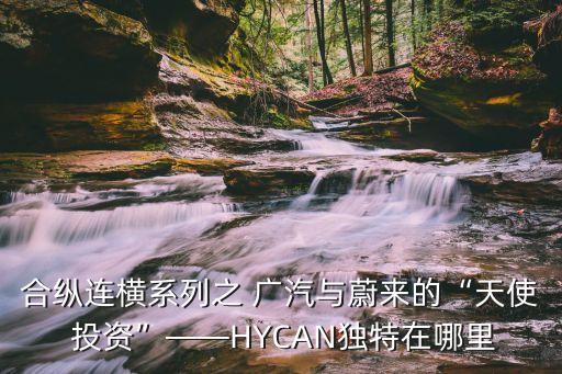 合縱連橫系列之 廣汽與蔚來(lái)的“天使 投資”——HYCAN獨(dú)特在哪里