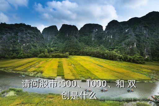 請(qǐng)問股市:500、1000、和 雙創(chuàng)是什么