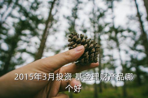 2015年3月投資 基金理財產(chǎn)品哪個好