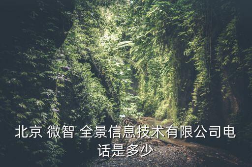 北京 微智 全景信息技術(shù)有限公司電話是多少