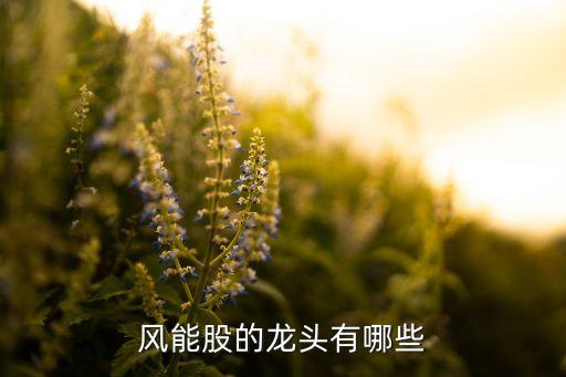 風(fēng)能股的龍頭有哪些