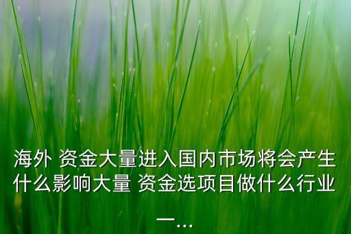 海外 資金大量進(jìn)入國內(nèi)市場將會產(chǎn)生什么影響大量 資金選項(xiàng)目做什么行業(yè)一...