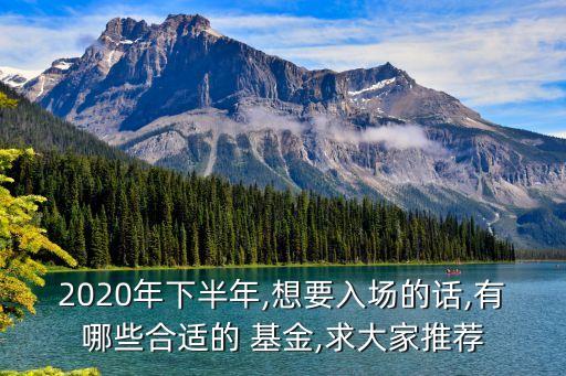 2020年下半年,想要入場的話,有哪些合適的 基金,求大家推薦