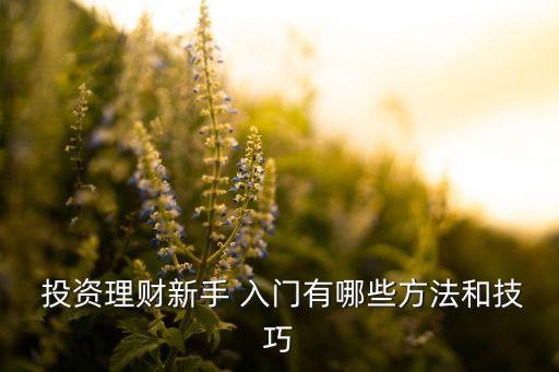  投資理財(cái)新手 入門有哪些方法和技巧