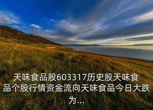 天味食品股603317歷史股天味食品個股行情資金流向天味食品今日大跌為...