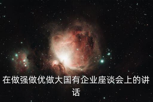 在做強(qiáng)做優(yōu)做大國有企業(yè)座談會上的講話