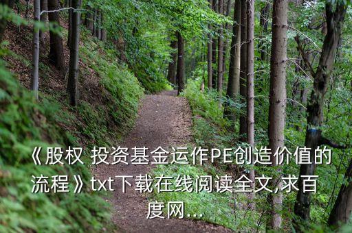 《股權 投資基金運作PE創(chuàng)造價值的流程》txt下載在線閱讀全文,求百度網(wǎng)...