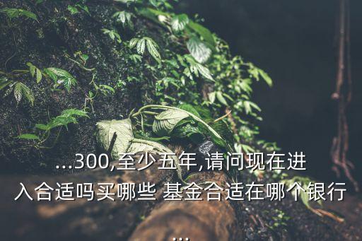 ...300,至少五年,請(qǐng)問現(xiàn)在進(jìn)入合適嗎買哪些 基金合適在哪個(gè)銀行...