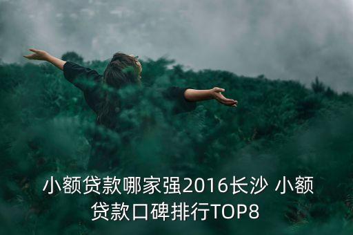  小額貸款哪家強(qiáng)2016長(zhǎng)沙 小額貸款口碑排行TOP8