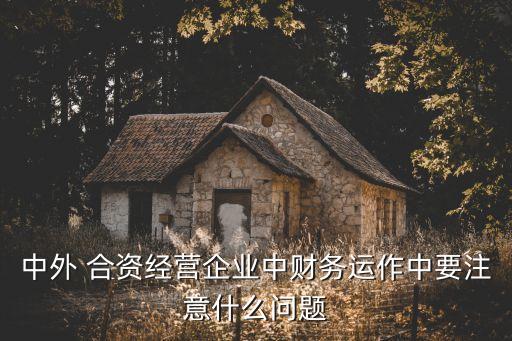 中外 合資經(jīng)營企業(yè)中財務運作中要注意什么問題