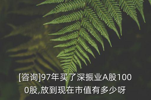 [咨詢]97年買了深振業(yè)A股1000股,放到現(xiàn)在市值有多少呀