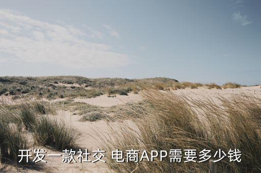 開發(fā)一款社交 電商APP需要多少錢