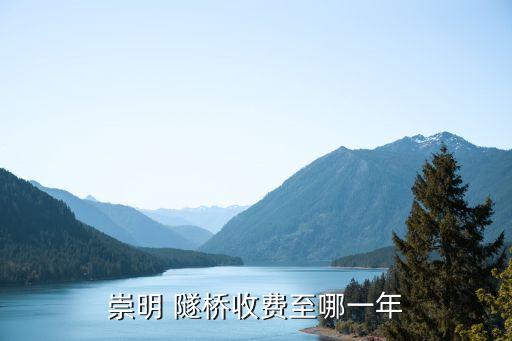 上海長(zhǎng)江隧橋有限公司