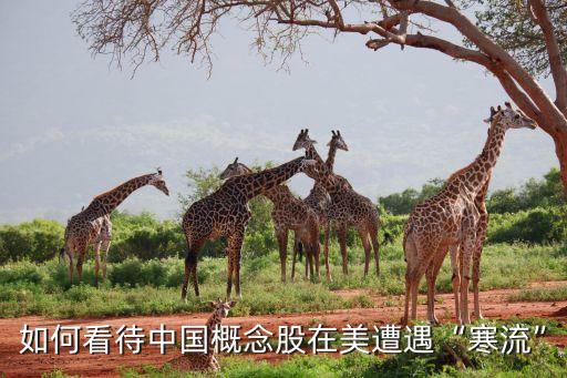 如何看待中國概念股在美遭遇“寒流”