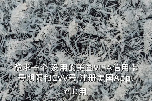 跪求一個(gè) 沒(méi)用的美國(guó)VISA信用卡號(hào)期限和CVV號(hào),注冊(cè)美國(guó)AppleID用