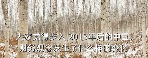 大家覺得步入 2013年后的中國,財務(wù)觀念發(fā)生了什么樣的變化