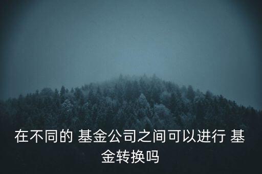 在不同的 基金公司之間可以進行 基金轉(zhuǎn)換嗎