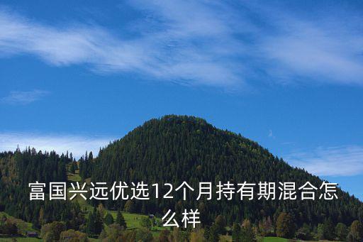  富國(guó)興遠(yuǎn)優(yōu)選12個(gè)月持有期混合怎么樣