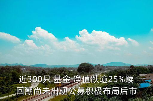 近300只 基金 凈值跌逾25%贖回潮尚未出現(xiàn)公募積極布局后市