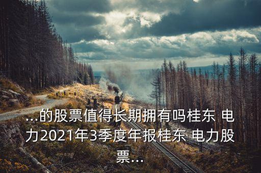 ...的股票值得長期擁有嗎桂東 電力2021年3季度年報桂東 電力股票...