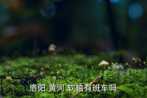 黃河軟軸控制器公司,洛陽(yáng)軟軸控制器廠家排名