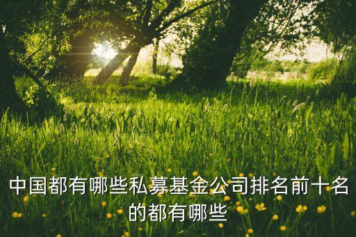 中國都有哪些私募基金公司排名前十名的都有哪些