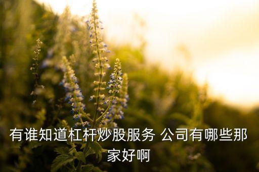 有誰(shuí)知道杠桿炒股服務(wù) 公司有哪些那家好啊