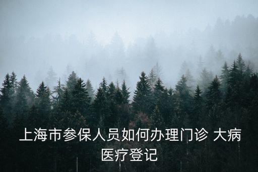  上海市參保人員如何辦理門診 大病醫(yī)療登記