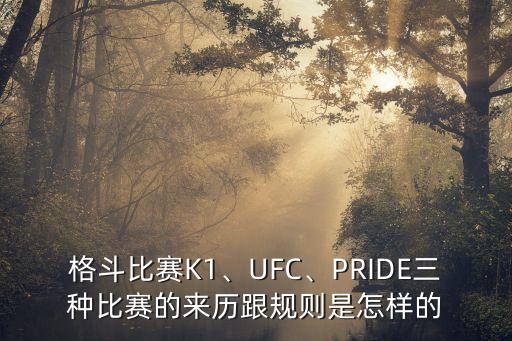 格斗比賽K1、UFC、PRIDE三種比賽的來歷跟規(guī)則是怎樣的