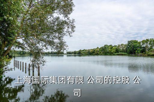 上海君溪資產(chǎn)是什么樣的公司,資產(chǎn)1000萬(wàn)在上海是什么水平