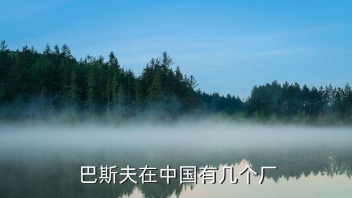 巴斯夫與上海聯(lián)恒,上海巴斯夫待遇怎么樣