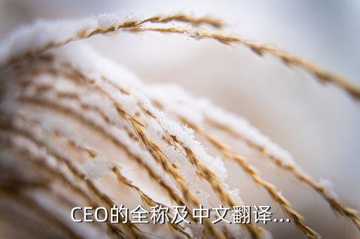 CEO的全稱及中文翻譯…