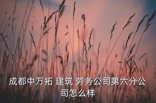 成都中萬拓 建筑 勞務(wù)公司第六分公司怎么樣