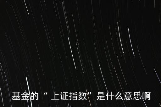  基金的“ 上證指數(shù)”是什么意思啊