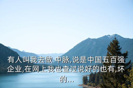 有人叫我去做 中脈,說是中國五百強企業(yè),在網(wǎng)上我也查過說好的也有,壞的...