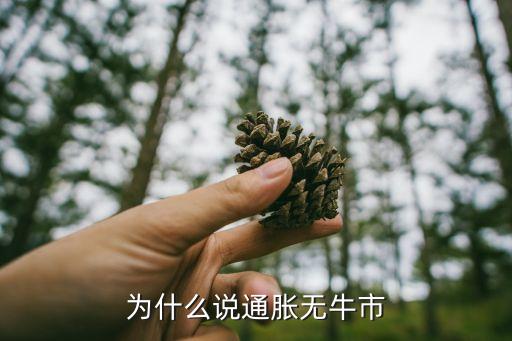 為什么說(shuō)通脹無(wú)牛市