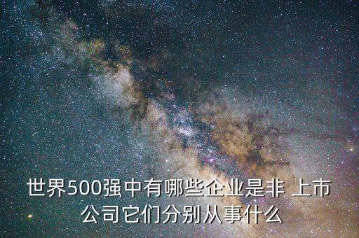 世界500強(qiáng)中有哪些企業(yè)是非 上市 公司它們分別從事什么