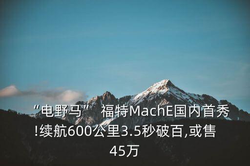 “電野馬” 福特MachE國內(nèi)首秀!續(xù)航600公里3.5秒破百,或售45萬