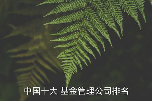 中國(guó)十大 基金管理公司排名