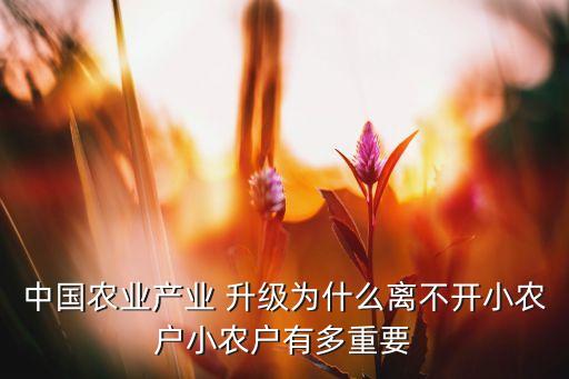 中國(guó)農(nóng)業(yè)產(chǎn)業(yè) 升級(jí)為什么離不開小農(nóng)戶小農(nóng)戶有多重要