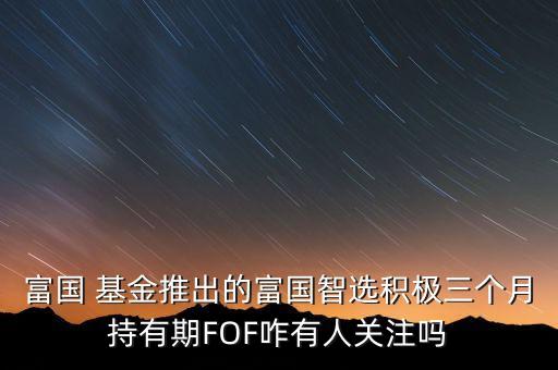 富國 基金推出的富國智選積極三個月持有期FOF咋有人關注嗎