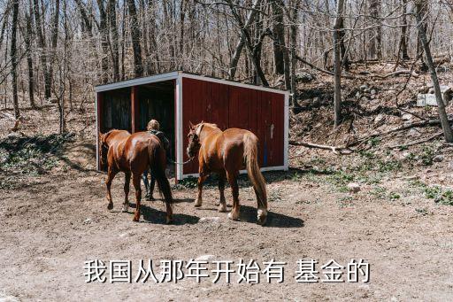 基金成立時(shí)間,張杰北斗星空愛心基金成立時(shí)間